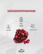 شامپو بدون سولفات گیاهی آسارا - Image 4