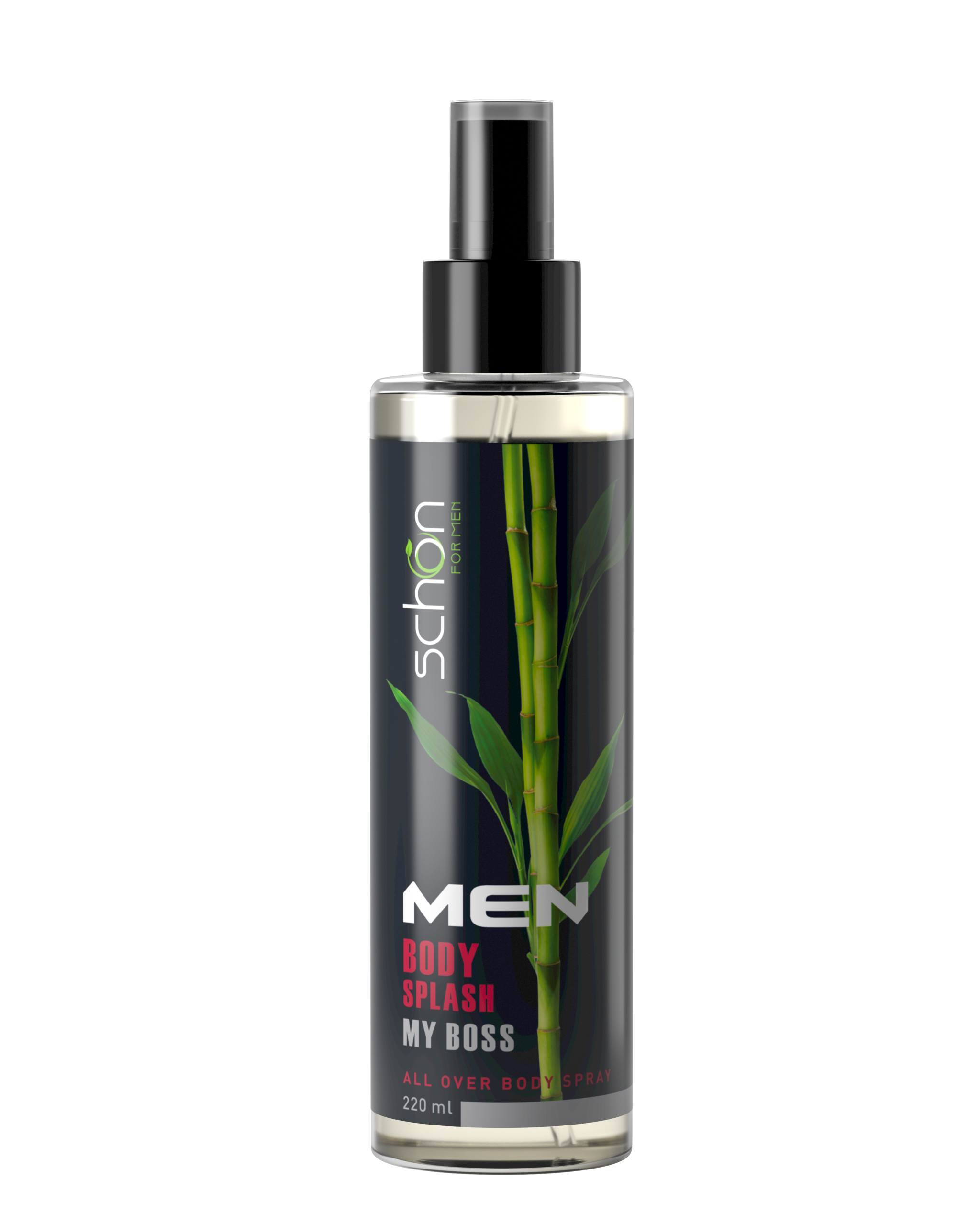 2 بادی اسپلش مای باس شون|Schon my boss Body Splash For men - Image 1